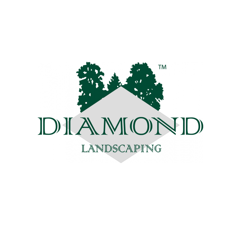 Diamond Gardens Franchise