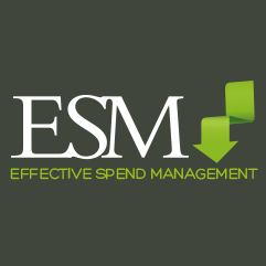 Effective Spend Management Franchise Opportunities