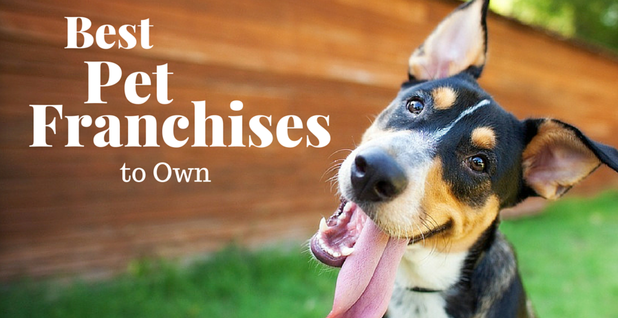 top pet franchises