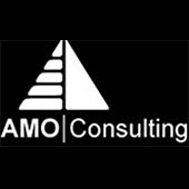 AMO Consulting Franchise Opportunities