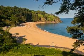 franchises-for-sale-in-devon