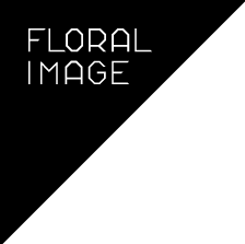 Floral Image Franchise