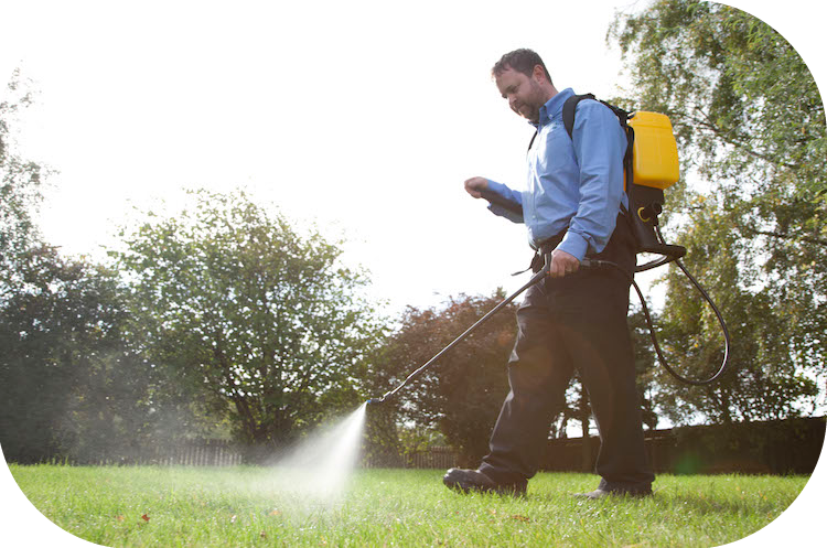 sprayingman
