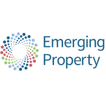 emerging property