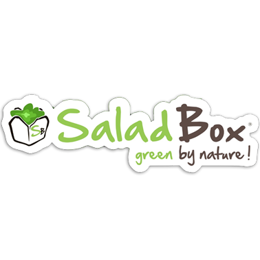 salad box