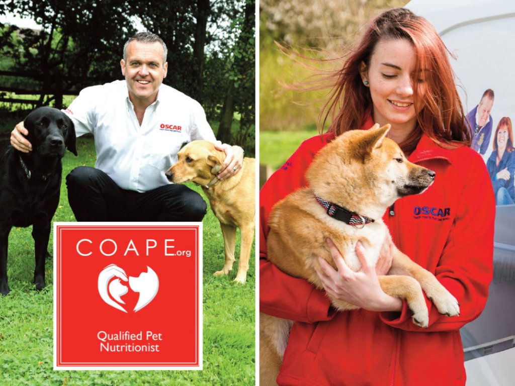 Increasing the credibility of an OSCAR Franchise Franchise UK