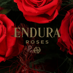 Endura Roses Franchise