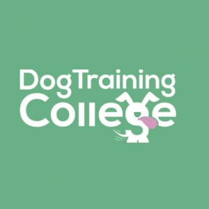 Dog Training College Franchise