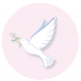 Dove Hope Homecare Dove Image