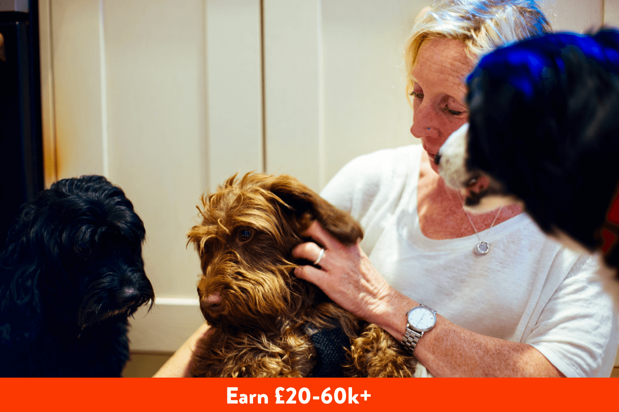 Earn £20 - 60k +