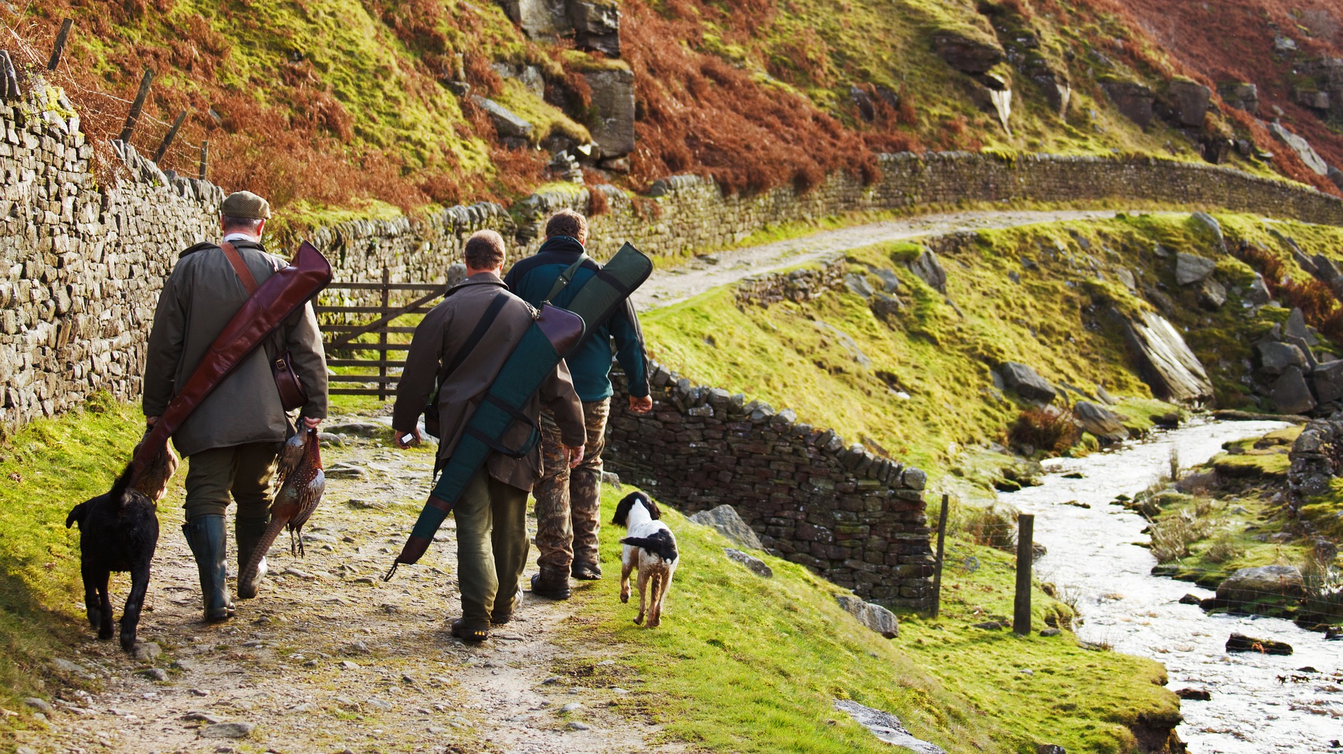 Brockwell Gundogs Franchise