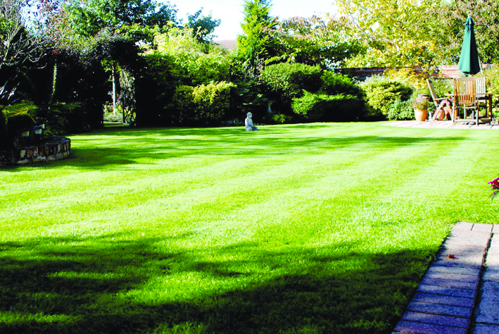 Lawn franchises