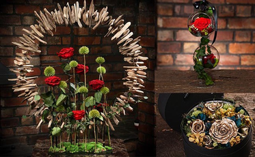 Endura Roses Collage