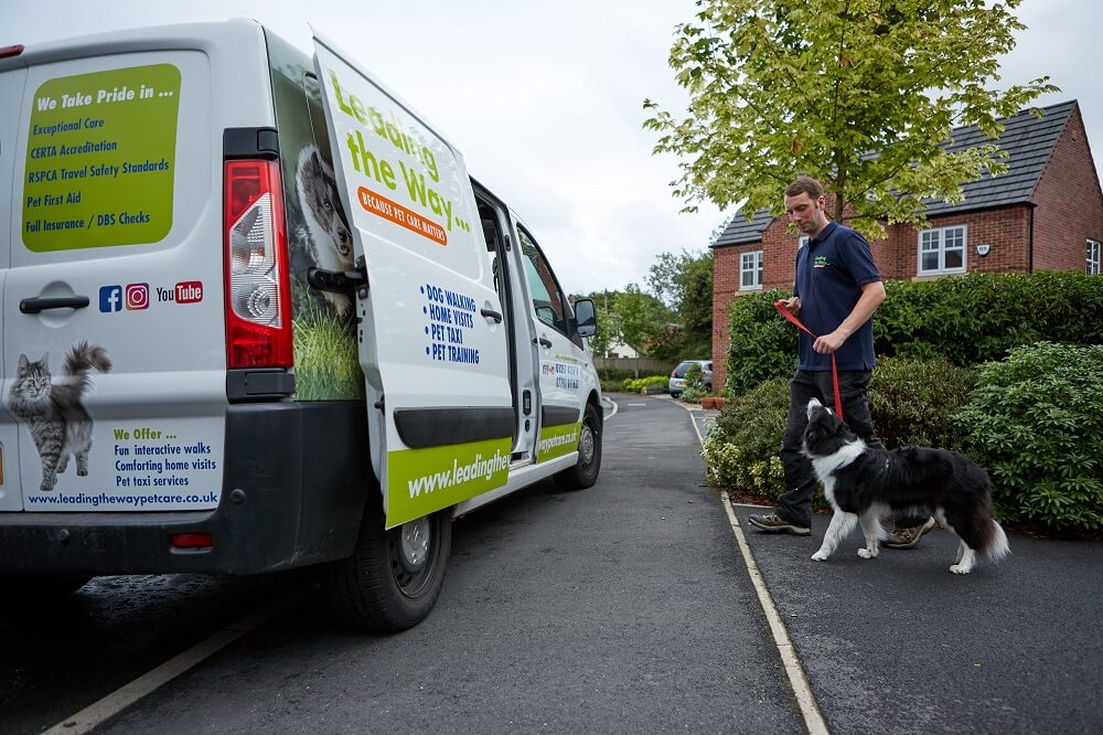 Leading The Way safe pet transport