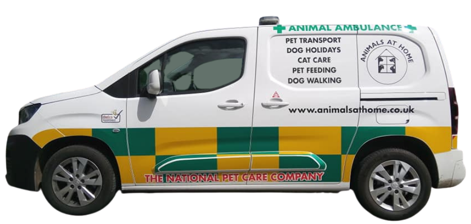 Animals at Home Franchise Franchise - Pet Franchise Opportunities |  Franchise UK