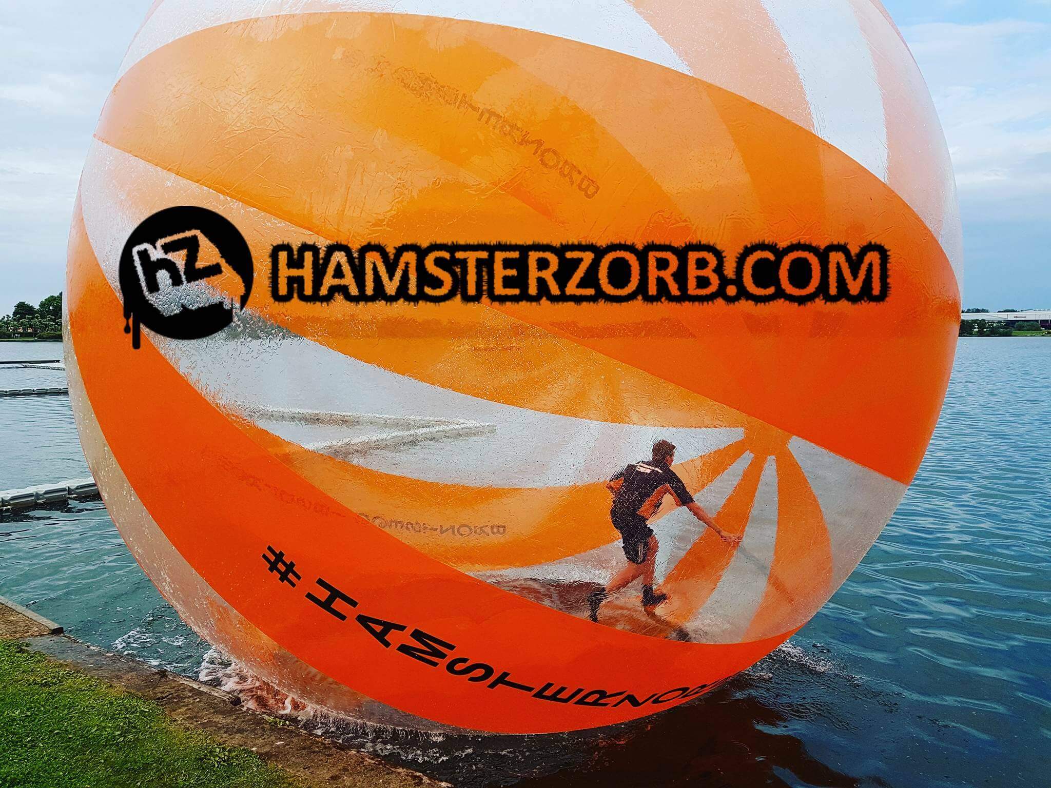 Hamsterzorb ball