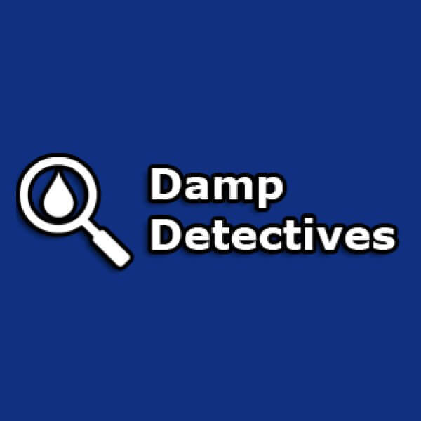 Damp Detectives Franchise