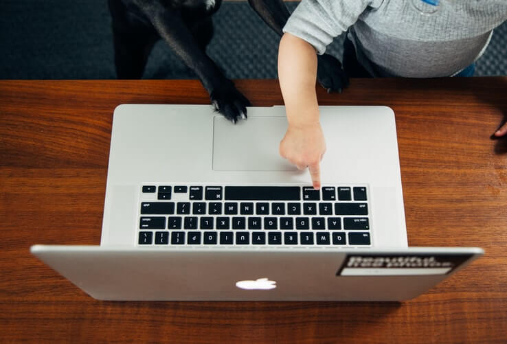 Dog Baby Laptop